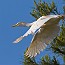 thumbs/IMG_6771.jpg